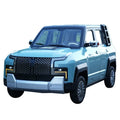 Electric four-wheeler dual-purpose adult new energy car