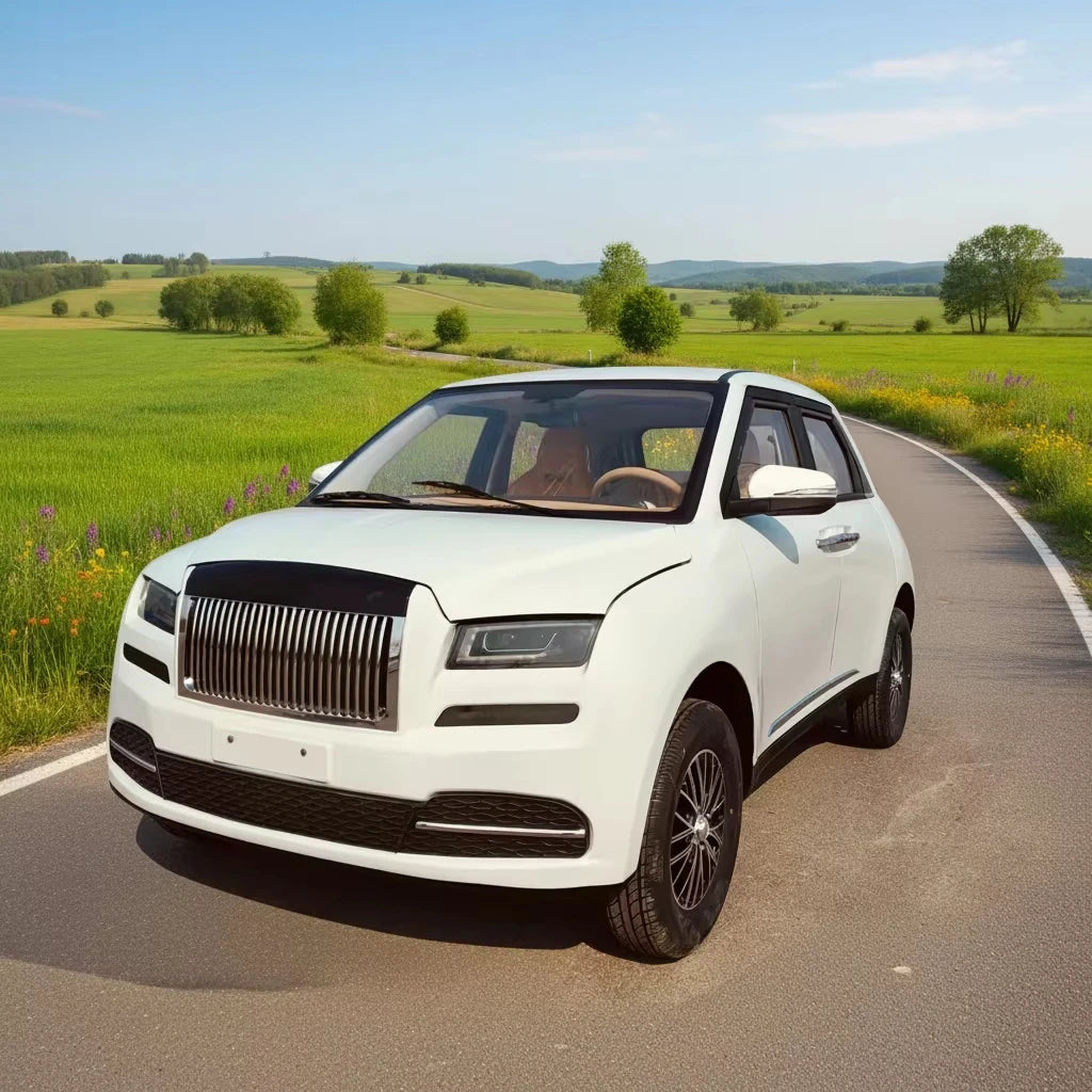 Low-speed four-wheel mini electric vehicle, 3500W fully enclosed vehicle, new energy vehicle, four-wheel electric vehicle