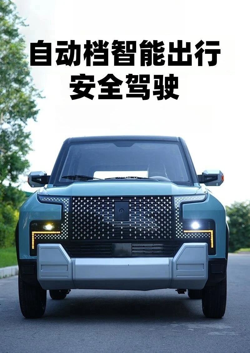 Electric four-wheeler dual-purpose adult new energy car
