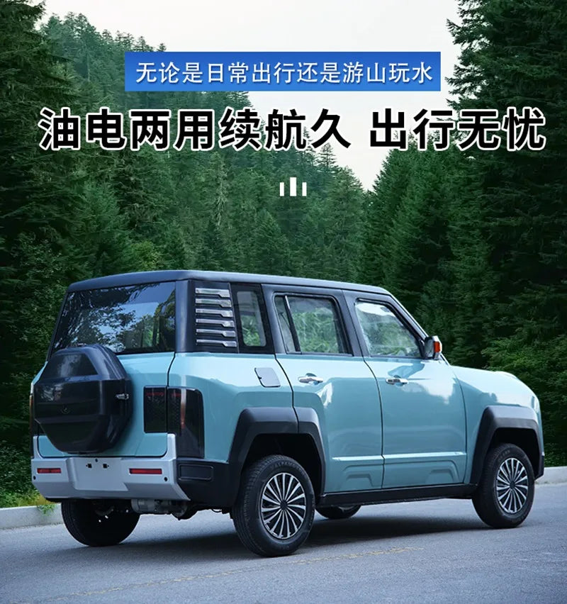 Electric four-wheeler dual-purpose adult new energy car