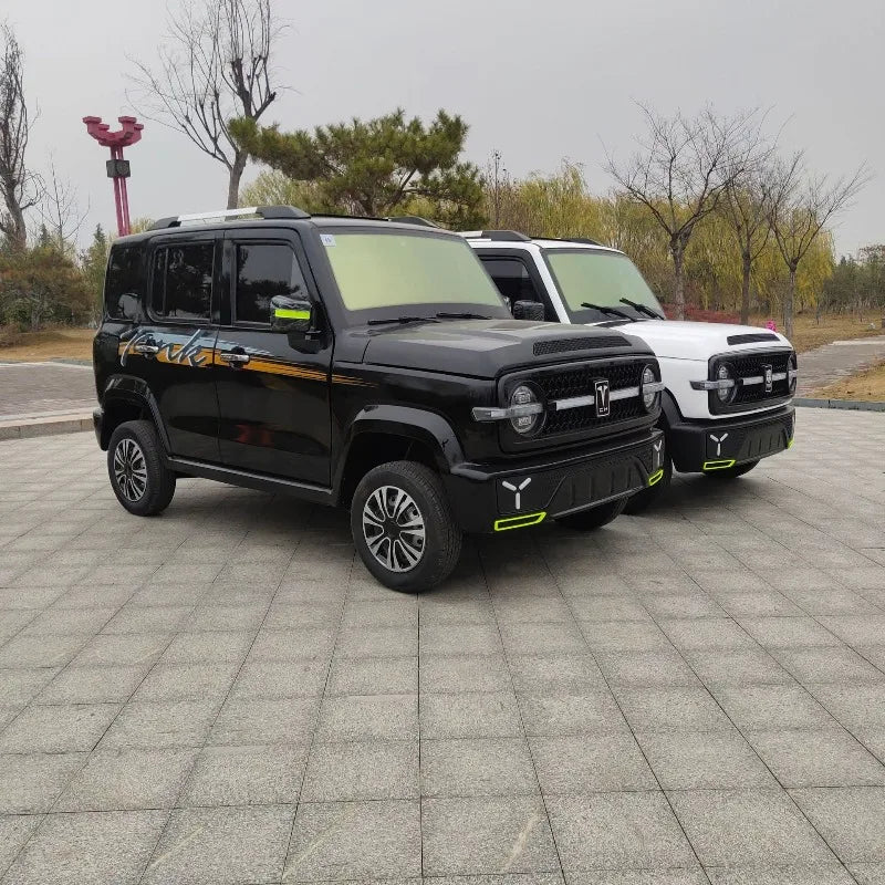 Electric four-wheeler new energy home adult car men's new transportation car