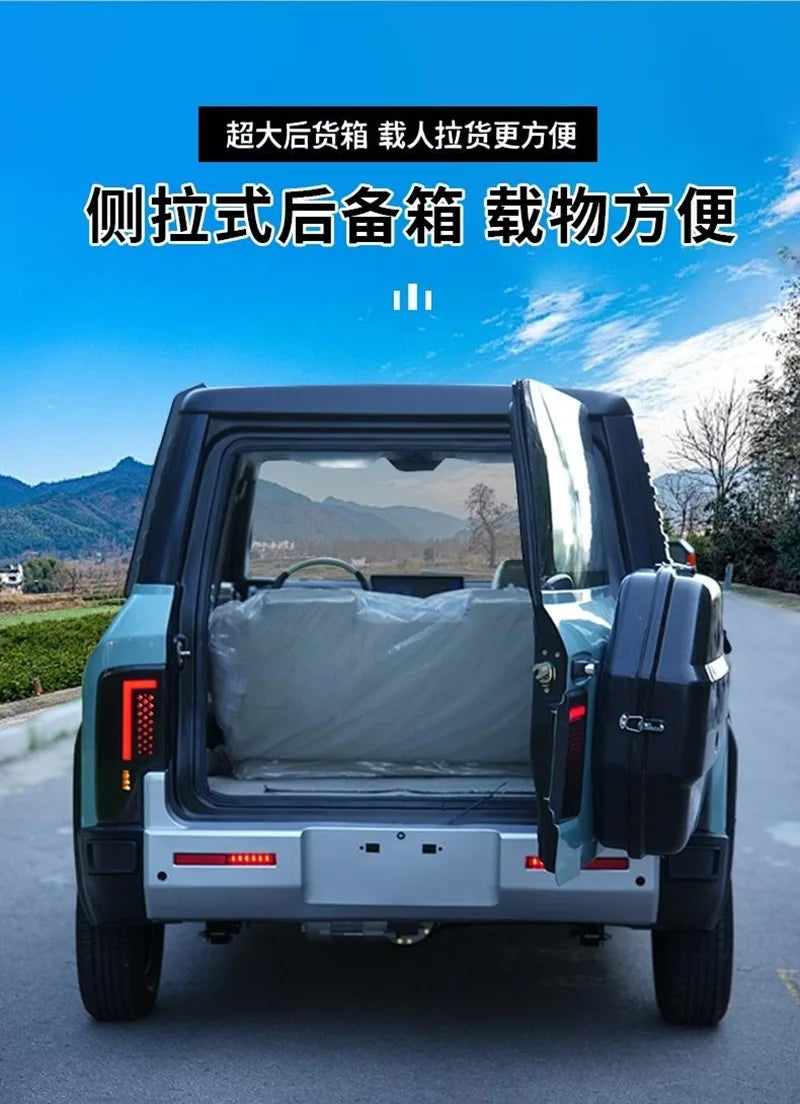 Electric four-wheeler dual-purpose adult new energy car