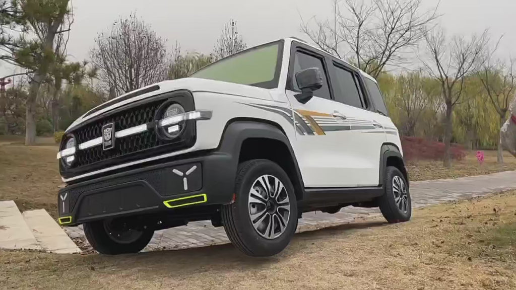 Electric four-wheeler new energy home adult car men's new transportation car