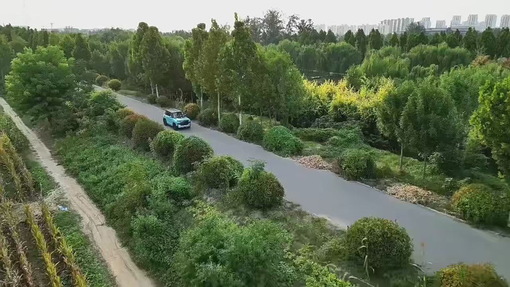 Electric four-wheeler dual-purpose adult new energy car