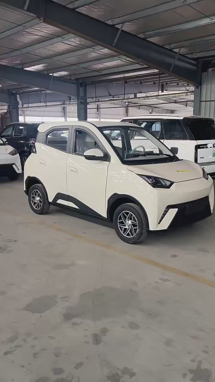 for  Four Wheeled Electric Vehicle Adult Elderly Lady Household Transportation New Energy Oil Electricity Dual Purpose